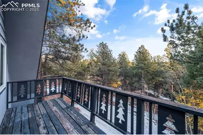 832 Spring Valley Drive, Divide, CO 80814 - Photo 39