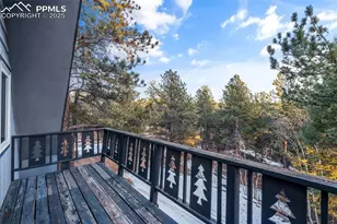 832 Spring Valley Dr, Divide, CO 80814 - Photo 39