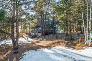 832 Spring Valley Dr, Divide, CO 80814 - Photo 41