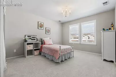 5803 Leon Young Drive, Colorado Springs, CO 80924 - Photo 27