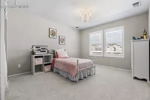 5803 Leon Young Dr, Colorado Springs, CO 80924 - Photo 27