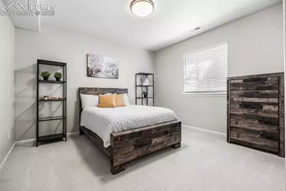 5803 Leon Young Drive, Colorado Springs, CO 80924 - Photo 29