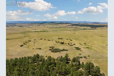 14254 S Highway 83, Larkspur, CO 80118 - Photo 11