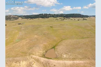 14254 S Highway 83, Larkspur, CO 80118 - Photo 7