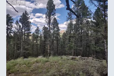1176 Trail Creek Road, Lake George, CO 80827 - Photo 9