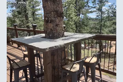 1176 Trail Creek Road, Lake George, CO 80827 - Photo 23