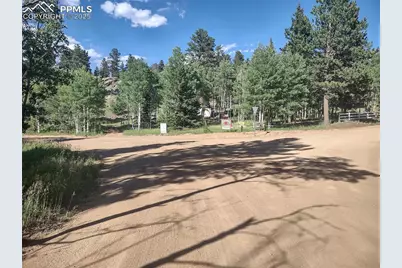 1176 Trail Creek Road, Lake George, CO 80827 - Photo 43