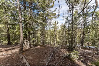 107 Haven Road, Divide, CO 80814 - Photo 13