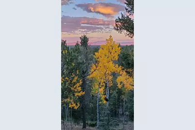 47 Aspen Road, Woodland Park, CO 80863 - Photo 35