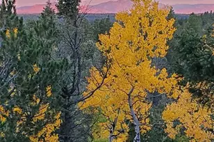 47 Aspen Rd, Woodland Park, CO 80863 - Photo 35