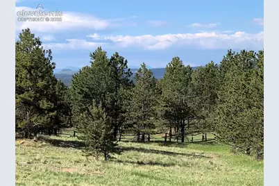 314 Arrowhead Drive, Florissant, CO 80816 - Photo 7