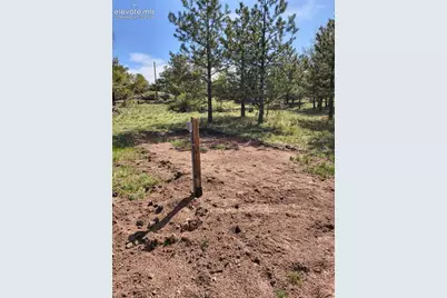 314 Arrowhead Drive, Florissant, CO 80816 - Photo 25