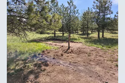 314 Arrowhead Drive, Florissant, CO 80816 - Photo 27