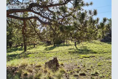 314 Arrowhead Drive, Florissant, CO 80816 - Photo 19