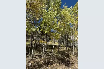 135 Powderhorn Lane, Lake George, CO 80827 - Photo 1