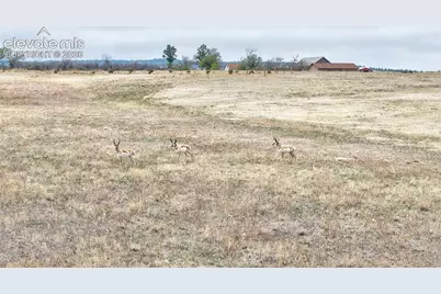 Dzuris Road, Calhan, CO 80808 - Photo 9