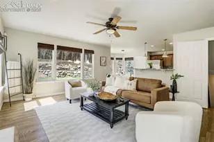 312 Pyrite Terrace, Colorado Springs, CO 80905 - Photo 17