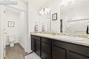 9238 Delgany Point, Colorado Springs, CO 80927 - Photo 19