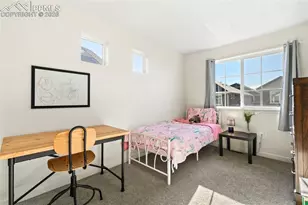 9238 Delgany Point, Colorado Springs, CO 80927 - Photo 21