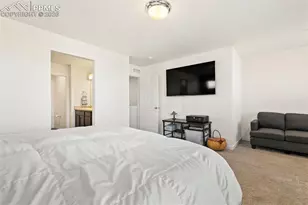 9238 Delgany Point, Colorado Springs, CO 80927 - Photo 17