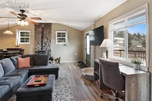 201 Dillon Ln, Florissant, CO 80816 - Photo 9