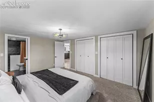 80 Hobe Creek Trail, Florissant, CO 80816 - Photo 19