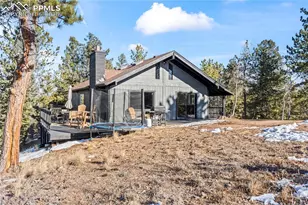 80 Hobe Creek Trail, Florissant, CO 80816 - Photo 29
