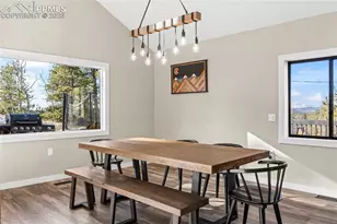 80 Hobe Creek Trail, Florissant, CO 80816 - Photo 9