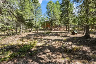 145 Grizzley Peak Road, Florissant, CO 80816 - Photo 43