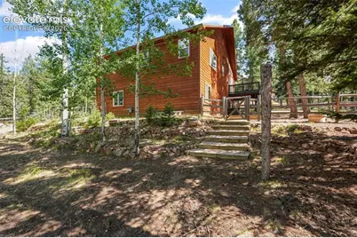145 Grizzley Peak Road, Florissant, CO 80816 - Photo 45