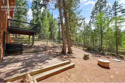 145 Grizzley Peak Road, Florissant, CO 80816 - Photo 41