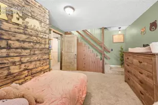 153 Arrowrock Cir, Florissant, CO 80816 - Photo 19