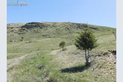 11972 Haskel Creek Road, Larkspur, CO 80118 - Photo 29