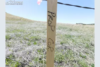 11972 Haskel Creek Road, Larkspur, CO 80118 - Photo 13