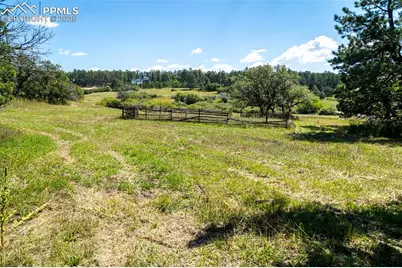 331 Grandwood Drive, Monument, CO 80132 - Photo 11