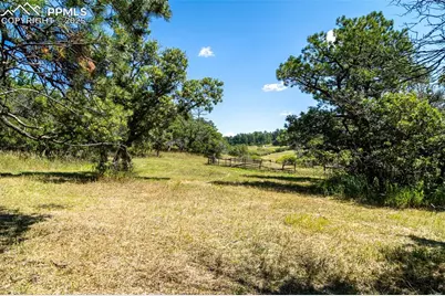 331 Grandwood Drive, Monument, CO 80132 - Photo 13
