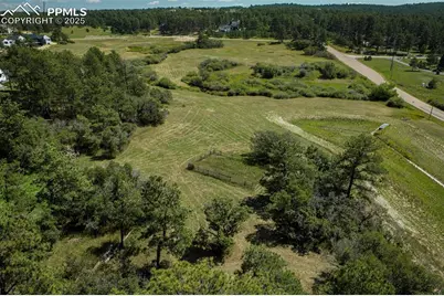 331 Grandwood Drive, Monument, CO 80132 - Photo 5