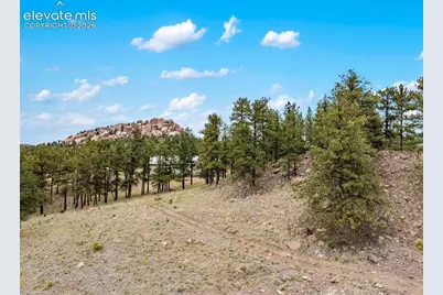 251 Surrey Lane, Florissant, CO 80816 - Photo 29