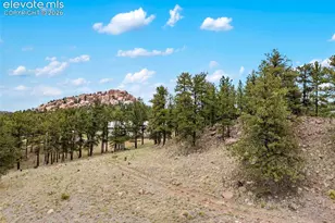 251 Surrey Ln, Florissant, CO 80816 - Photo 29