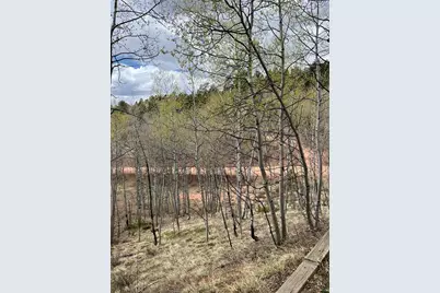 646 Grey Eagle Drive, Cripple Creek, CO 80813 - Photo 3