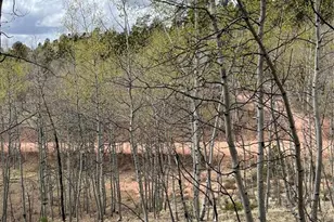 646 Grey Eagle Dr, Cripple Creek, CO 80813 - Photo 3