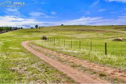 2801 Verbena Drive, Larkspur, CO 80118 - Photo 7