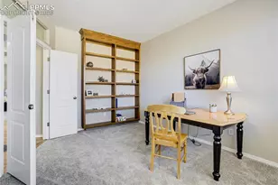 10565 Black Elk Way, Colorado Springs, CO 80908 - Photo 23