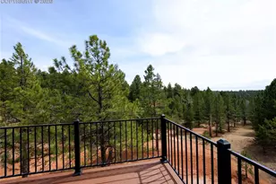 748 Pinewood Rd, Florissant, CO 80816 - Photo 9
