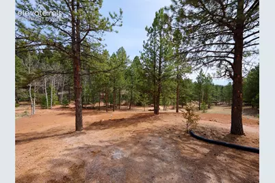748 Pinewood Road, Florissant, CO 80816 - Photo 39