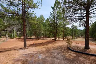 748 Pinewood Rd, Florissant, CO 80816 - Photo 39