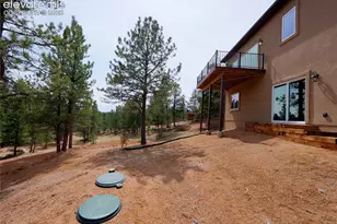 748 Pinewood Rd, Florissant, CO 80816 - Photo 39