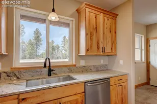 748 Pinewood Rd, Florissant, CO 80816 - Photo 21