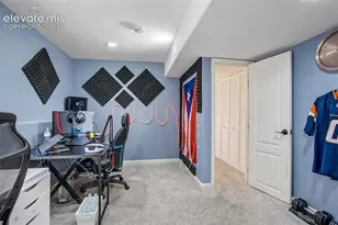 10065 Litchfield St, Peyton, CO 80831 - Photo 41