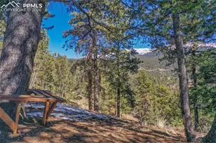 493 Horseshoe Dr, Divide, CO 80814 - Photo 5
